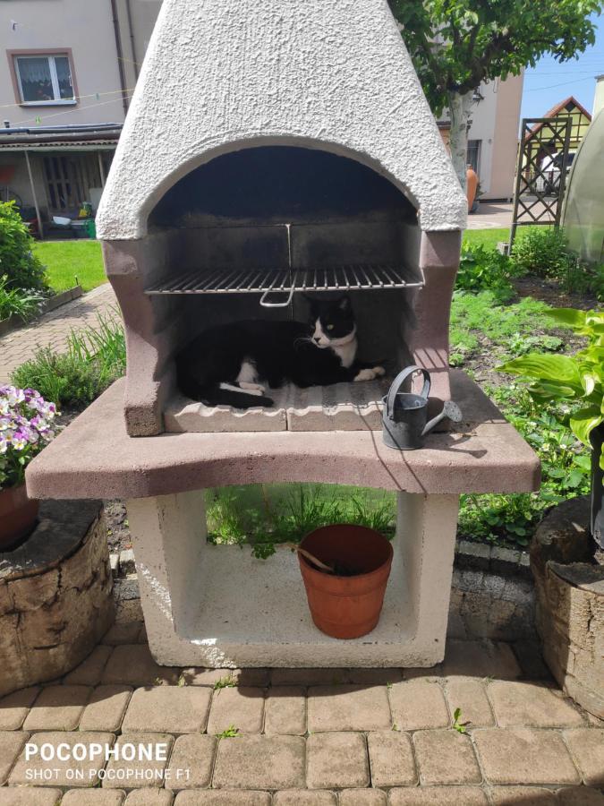 Pokoje Goscinne Moli Leba Bagian luar foto